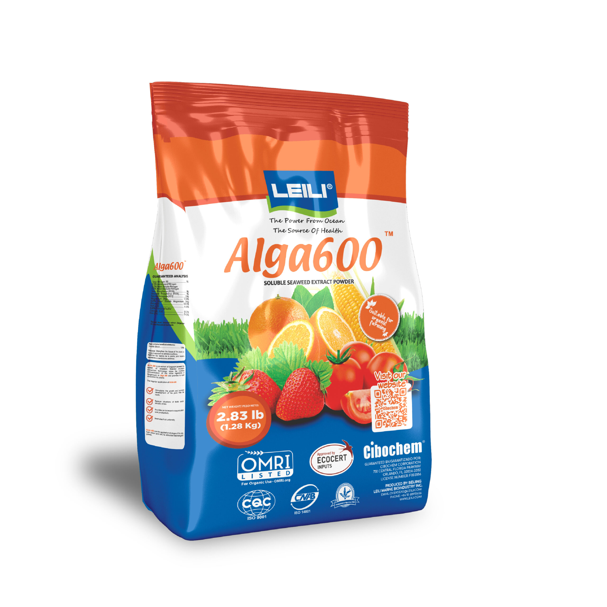 Mock Up Alga600 Mock Up Alga600